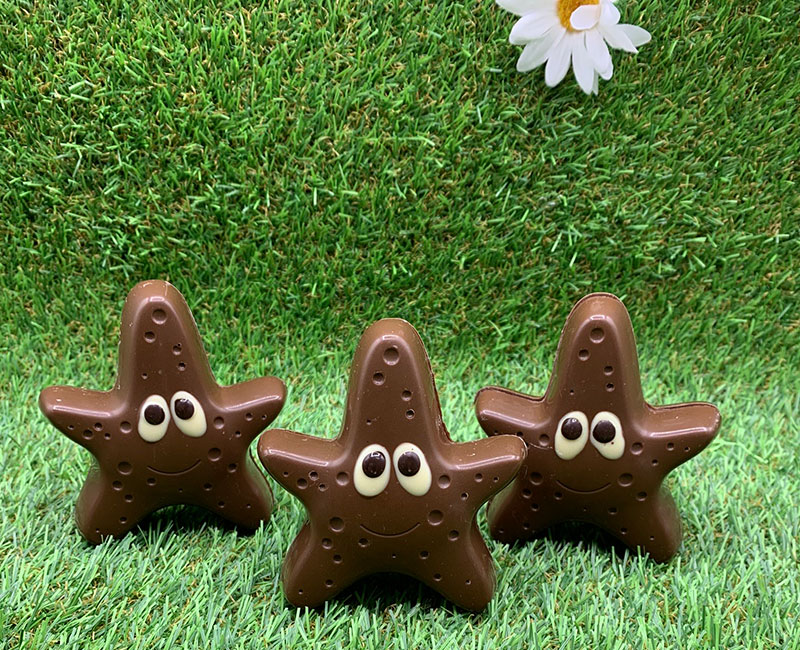 Offre du moment chez Delices & Chocolats à Saint Germain sur Morin en Seine et Marne 77