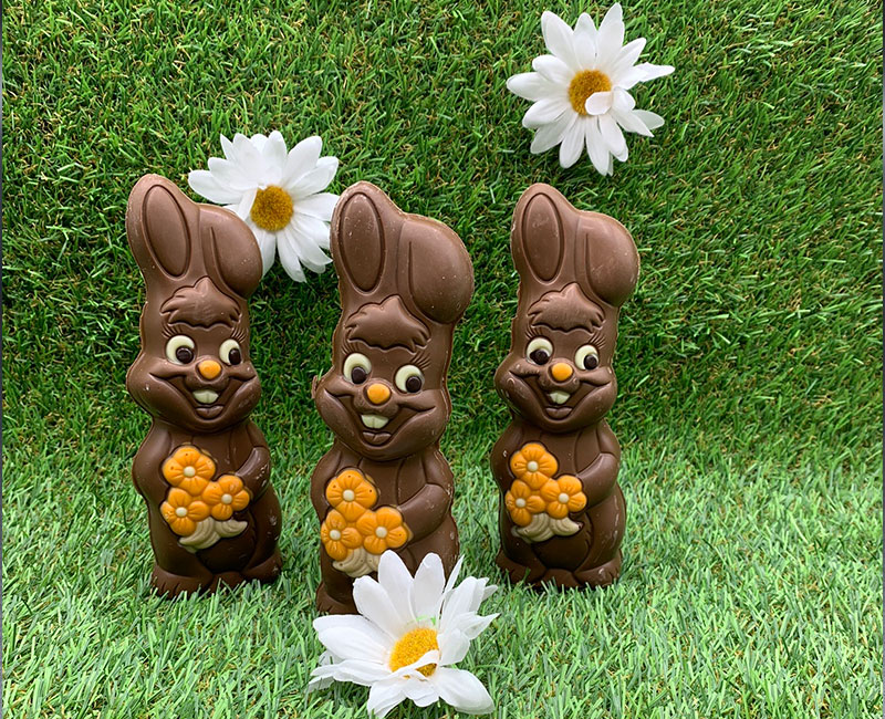 Offre du moment chez Delices & Chocolats à Saint Germain sur Morin en Seine et Marne 77