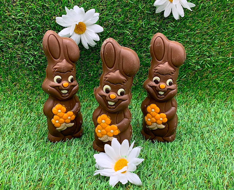 Offre du moment chez Delices & Chocolats à Saint Germain sur Morin en Seine et Marne 77